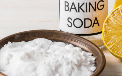 Effets de la supplémentation en bicarbonate de sodium